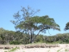 Australien 2005-062 Australien 2005-062
